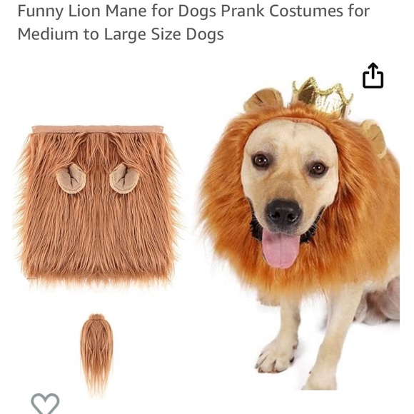 Lion 🦁 costume for dogs- comes with the mane and a tail piece. - Picture 2 of 6